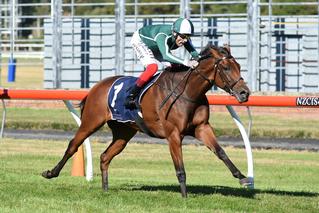 Jennifer Eccles (NZ) (Rip Van Winkle) dominated in the 2019-20 NZB Filly of the Year Series.